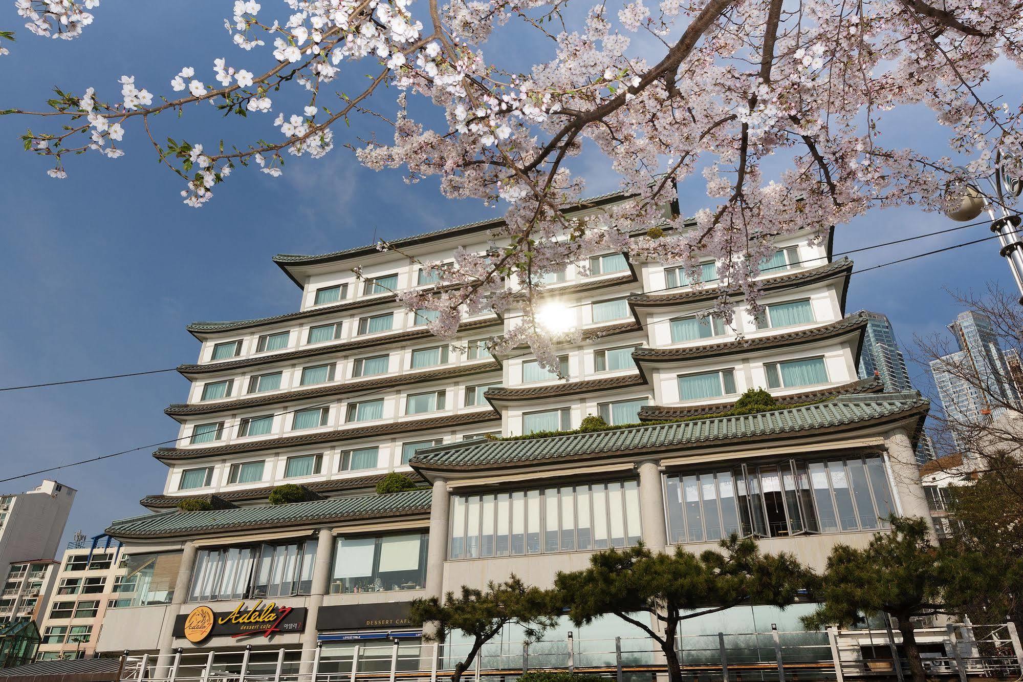 Hotel Illua Busan Ngoại thất bức ảnh